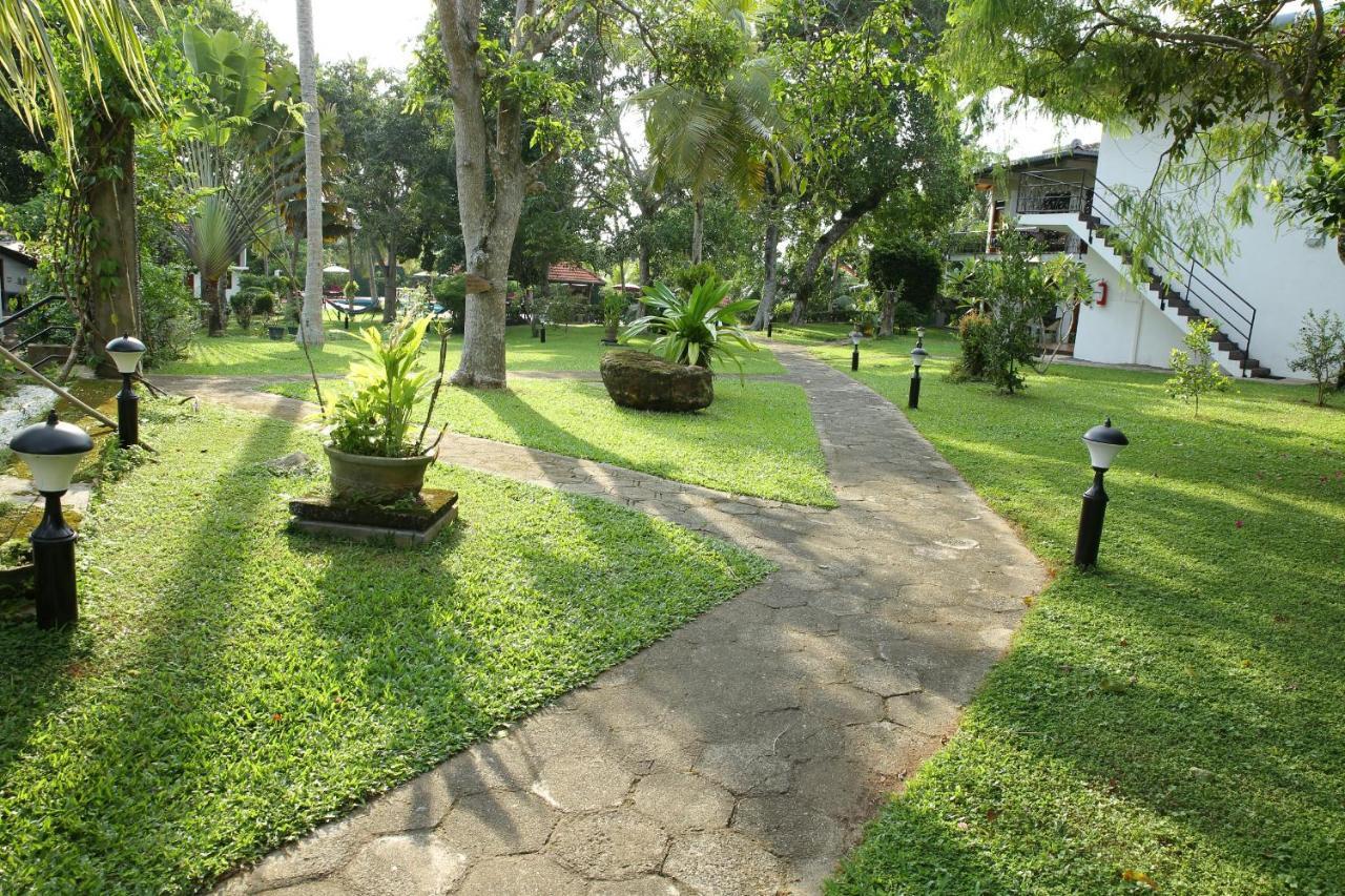 Ayurveda Centrum Lawrence Hill Paradise Hikkaduwa Extérieur photo