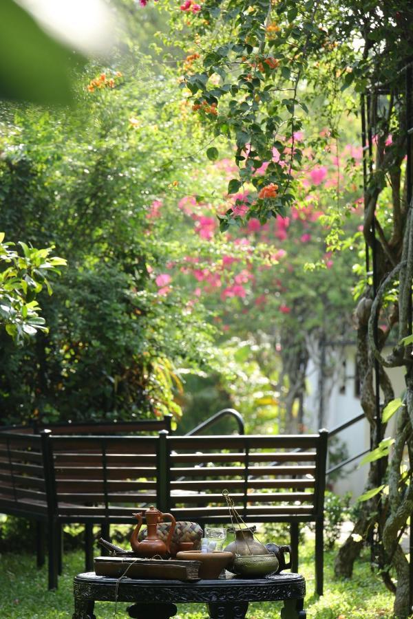 Ayurveda Centrum Lawrence Hill Paradise Hikkaduwa Extérieur photo